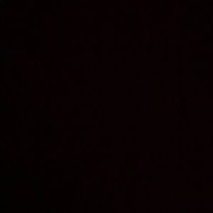 Meet your Posher, Dalton